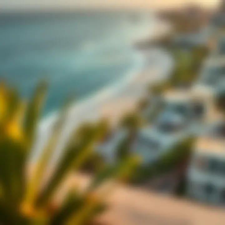 Aerial view of luxury villas along the coastline of Dubai