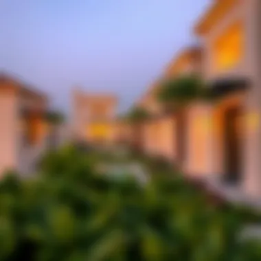 Notable Warsan Village: An In-Depth Analysis of a Unique Dubai Community