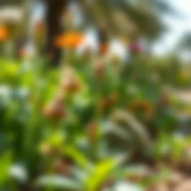 Biodiversity in Wasl Green Park Close-up of diverse plant species thriving in Wasl Green Park, highlighting biodiversity.