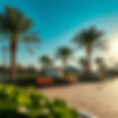 Beautiful parks and amenities in Wasl Real Estate communities