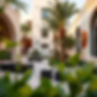 Community lifestyle offerings in Wasl Vita