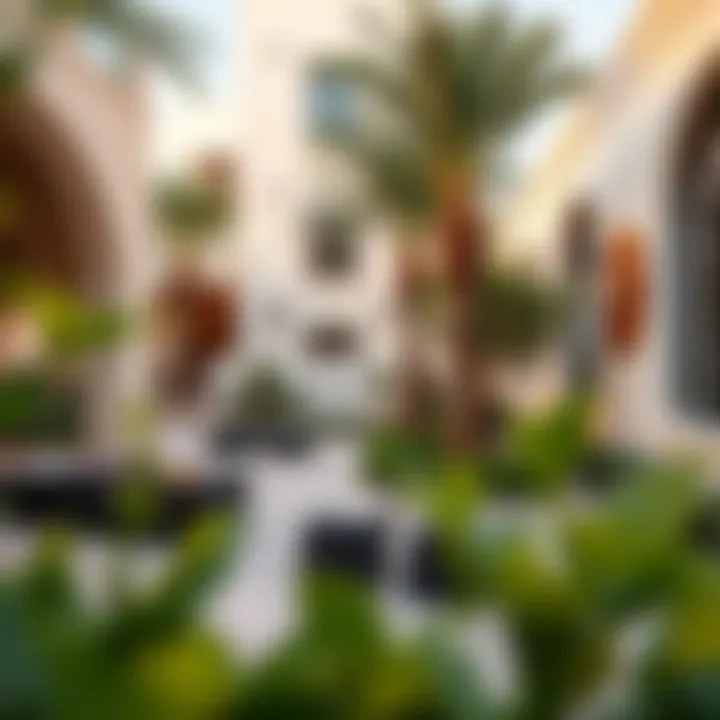 Community lifestyle offerings in Wasl Vita